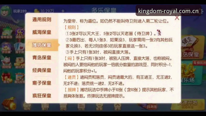 皇家国际娱乐尊享操作教程：从入门到精通的全流程指南