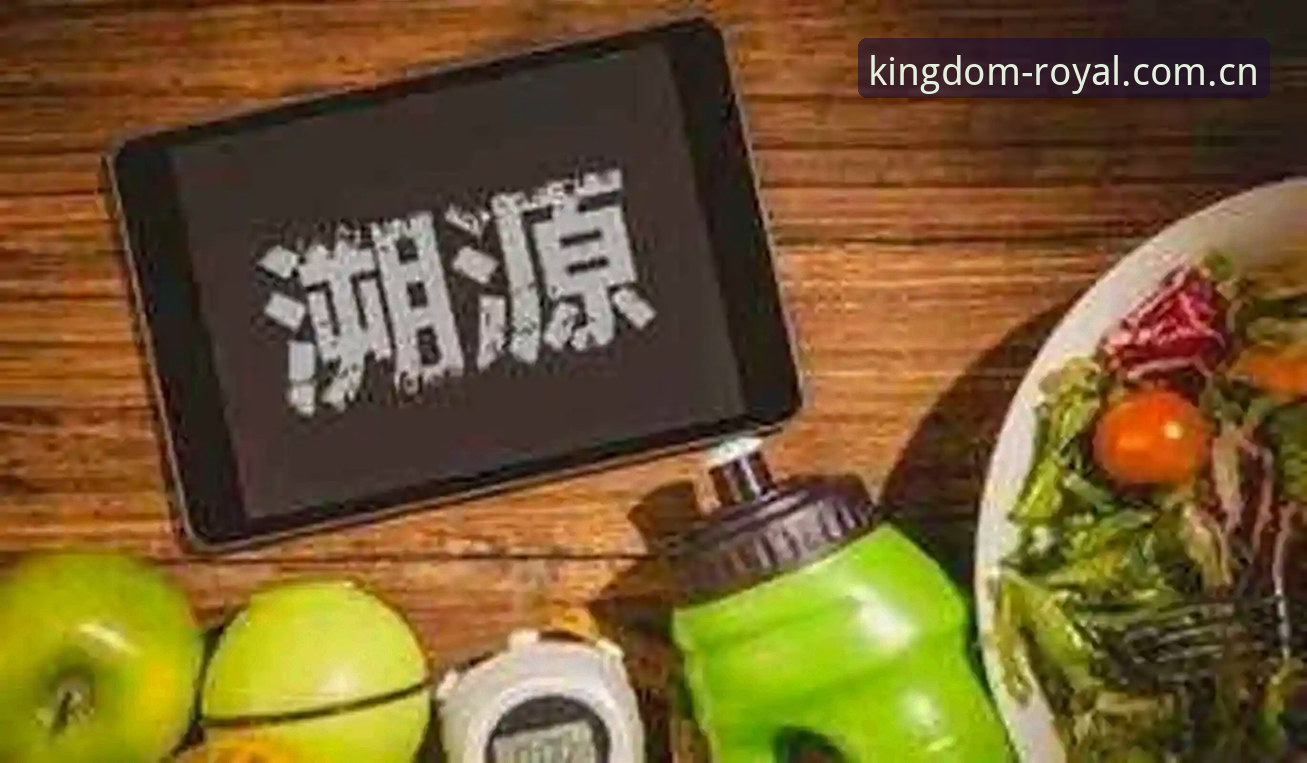 皇家国际娱乐app使用指南详解：从注册到优惠活动全流程技术评测